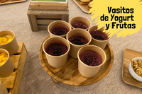 Vasitos de fruta